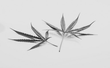 Лечение наркомании в Балтийске